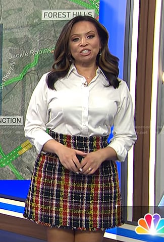 Adelle’s multicolor tweed skirt on Today