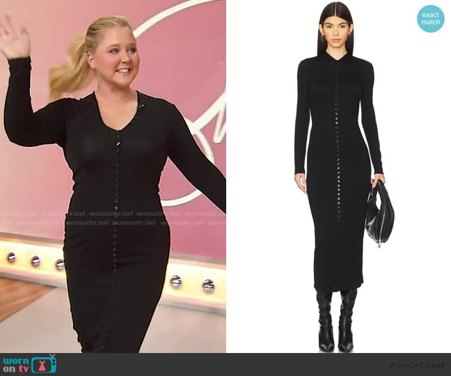 Alexander Wang Long Sleeve Knit Button-Up Body-Con Dress worn by Amy Schumer on Sherri