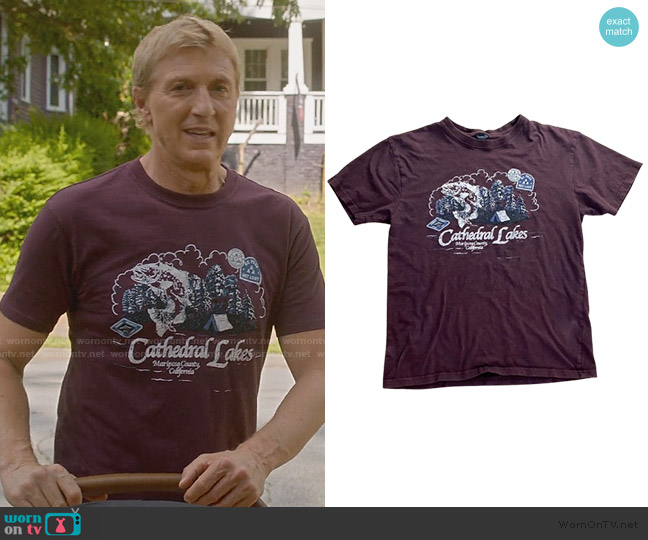 Loose Fit Vintage Burgundy and Red T-shirt worn by Johnny Lawrence (William Zabka) on Cobra Kai