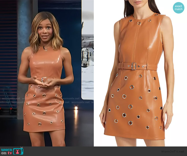 Cinq a Sept Harriet Vegan Leather Mini Dress worn by Zuri Hall on Access Hollywood