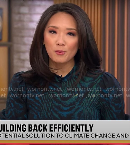 Nancy Chen’s blue and green animal print midi dress on CBS Mornings