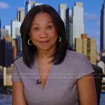 Sandra Bookman’s grey v-neck cap sleeve dress on Good Morning America