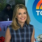 Savannah’s blue sleeveless plaid shirtdress on Today