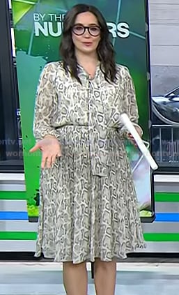 Savannah’s snake print tie neck dress on Today
