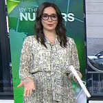 Savannah’s snake print tie neck dress on Today