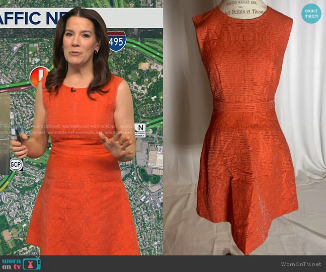 J. Crew Fit & Flare Sleeveless Dress worn by Heather O’Rourke on Good Morning America
