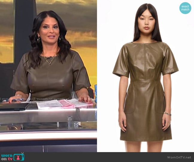 Jason Wu Faux Leather Mini Dress worn by Darlene Rodriguez on Today