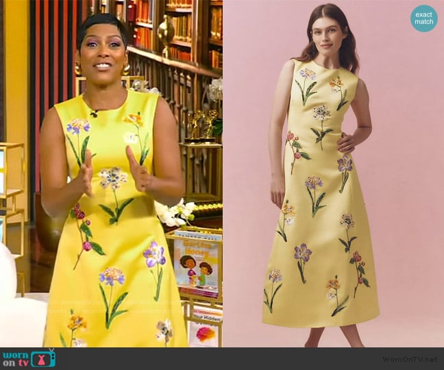 Leo Lin Cleo A-Line Midi Dress worn by Tamron Hall on Tamron Hall Show