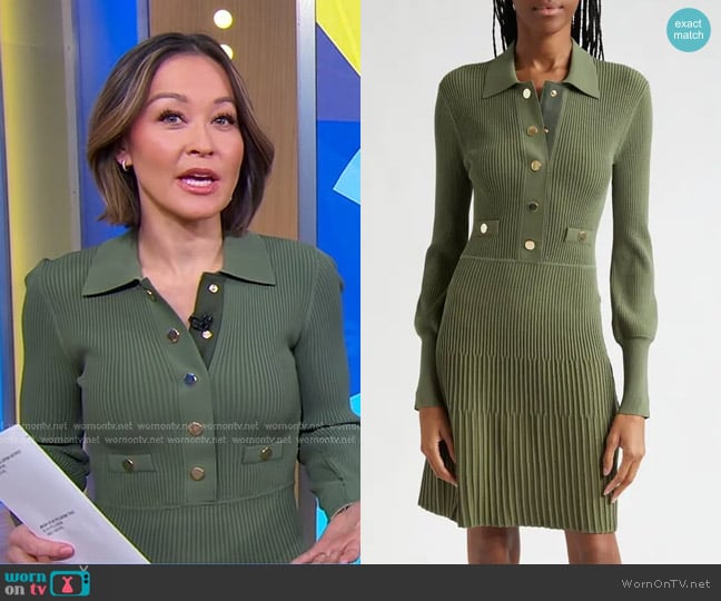 Veronica Beard Lauper Dress worn by Eva Pilgrim on Good Morning America