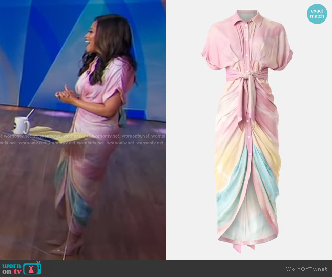 Le Superbe Sparkling Surf Miki Dress worn by Morgan Norwood on Good Morning America