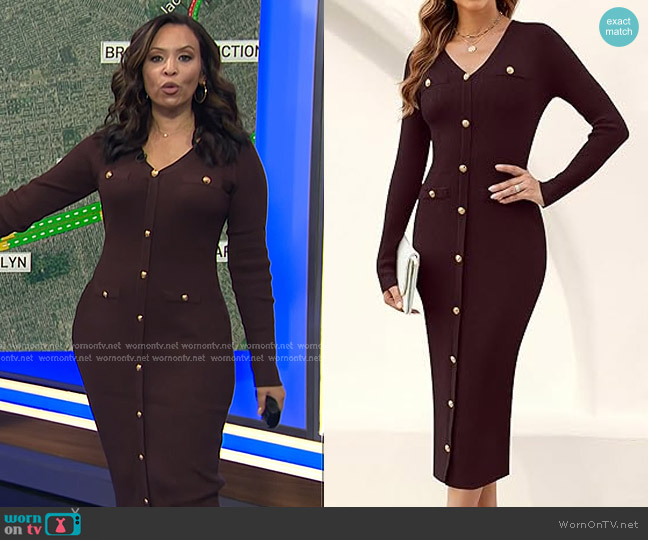 MIROL V-Neck Bodycon Sweater Dress in Wine worn by Adelle Caballero on Today
