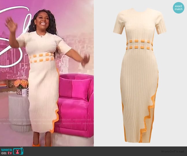 PH5 Jodie Two-Tone Pleated Asymmetric Long Dress worn by Sherri Shepherd on Sherri