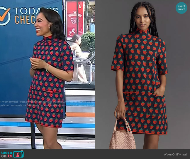 Maeve The Annalise Mock-Neck Mini Sweater Dress worn by Vanessa Rissetto on Today