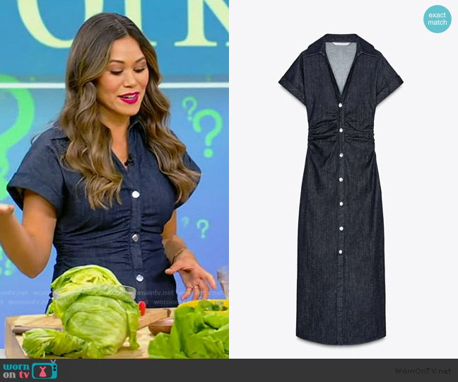 Zara Z1975 Denim Midi Dress worn by Brandi Milloy on Tamron Hall Show