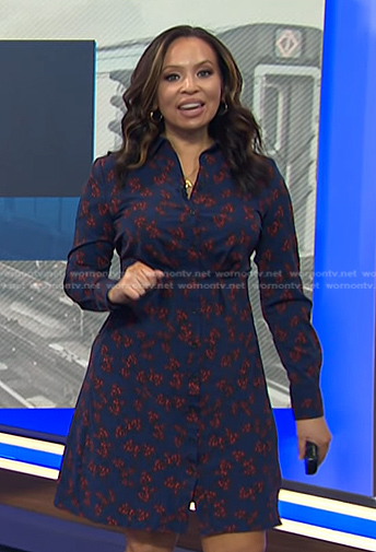 Adelle’s blue floral shirtdress on Today