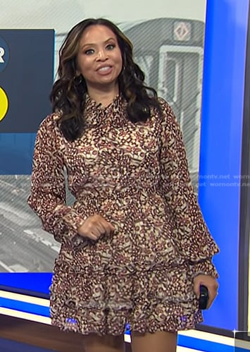 Adelle’s brown print tiered mini dress on Today