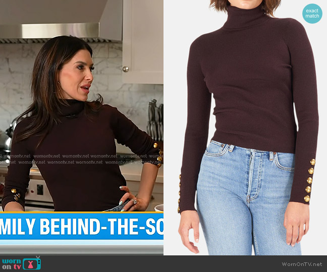 A.L.C. Desi Turtleneck Pullover in Chocolate worn by Hilaria Baldwin on Today