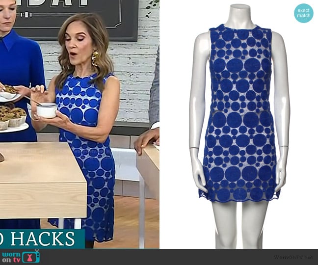Alice + Olivia Blue Dot Lace Shift Dress worn by Joy Bauer on Today