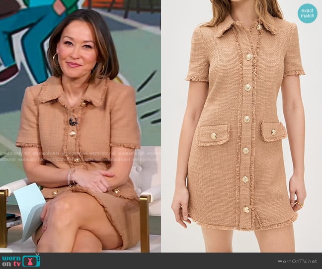 Cinq à Sept Pammy Dress in Brown Sugar worn by Eva Pilgrim on Good Morning America
