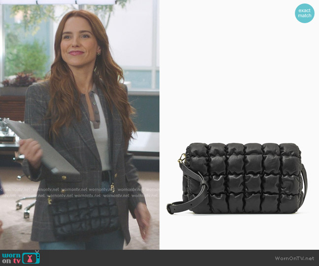 Cos Quilted Leather Crossbody worn by Cass Beckman (Sophia Bush) on Greys Anatomy