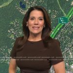 Heather’s brown leather belt dress on Good Morning America