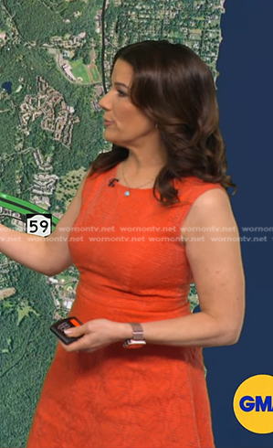 Heather’s orange flare dress on Good Morning America