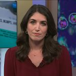 Liz’s brown v-neck blouse on Today