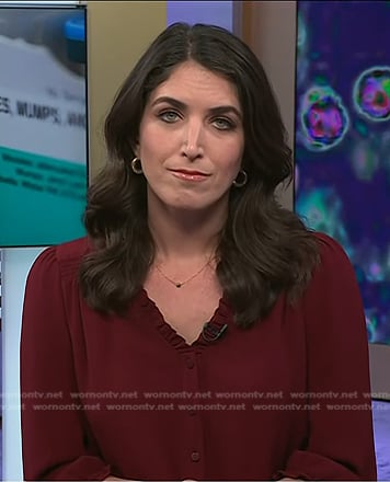 Liz’s brown v-neck blouse on Today