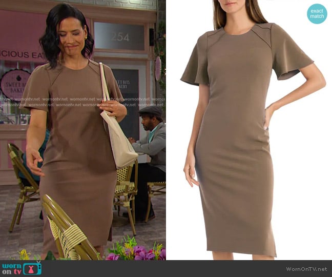 Maggy London Flutter Sleeve Sheath Dress in Mid Taupe worn by Amy Choi (Shi Ne Nielson) on Days of our Lives