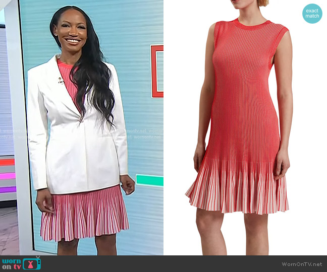 Ted Baker Lilyo Textured Striped Flippy Skirt Dress in Red worn by Dr. Judith Joseph on Today