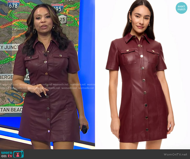 Toccin Faux Leather Short Sleeve Dress worn by Adelle Caballero on Today