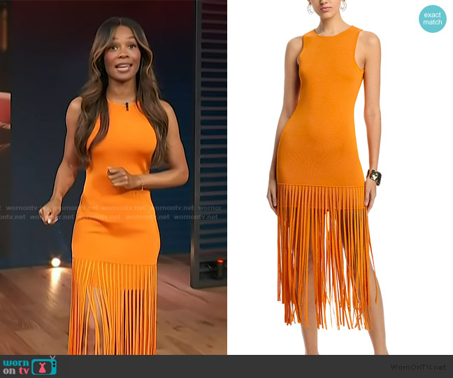 Toccin Margaux Sleeveless Fringe Dress worn by Zuri Hall on Access Hollywood