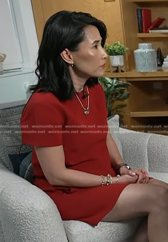 Vicky’s red short sleeve shift dress on NBC News Daily