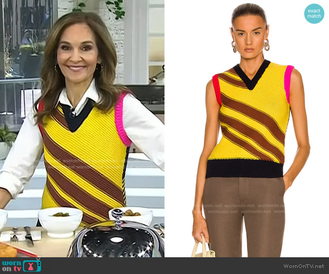 Victoria Beckham Patchwork Stripe Tank worn by Joy Bauer on Today