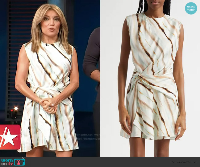 A.L.C. Delia Diagonal Stripe Sleeveless Dress worn by Kit Hoover on Access Hollywood