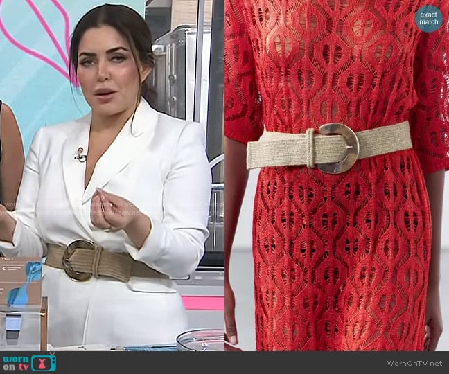 Zara Acetate Effect Buckle Belt worn by Bobbie Thomas on Today