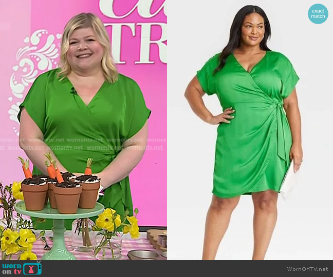 Ava & Viv Dolman Short Sleeve Wrap Dress worn by Danielle Kartes on Today