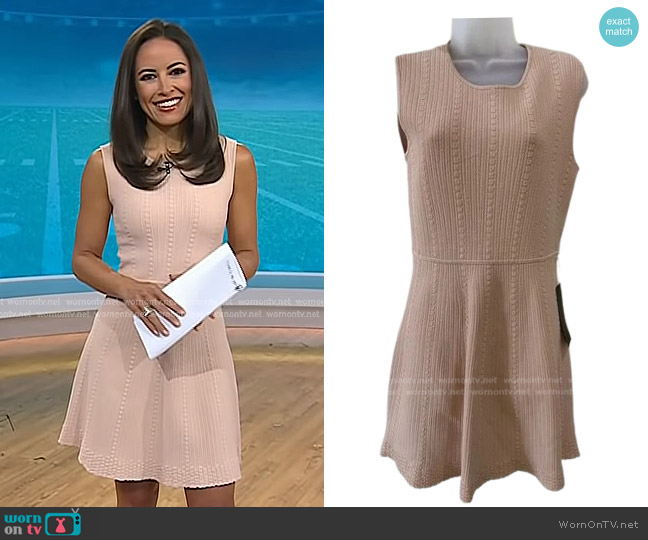 Bcbgmaxazria Dyanne Dress in Bare Pink worn by Kaylee Hartung on Today