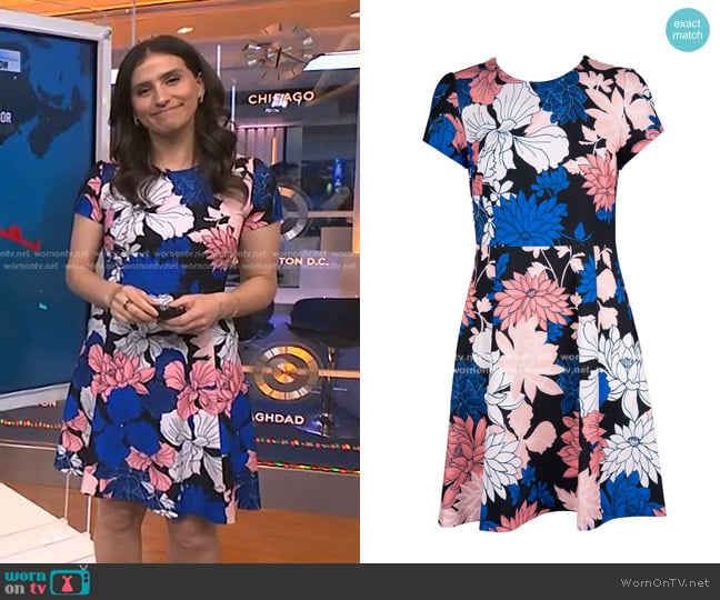 Eliza J Floral Fit & Flare Dress worn by Angie Lassman on NBC News Daily