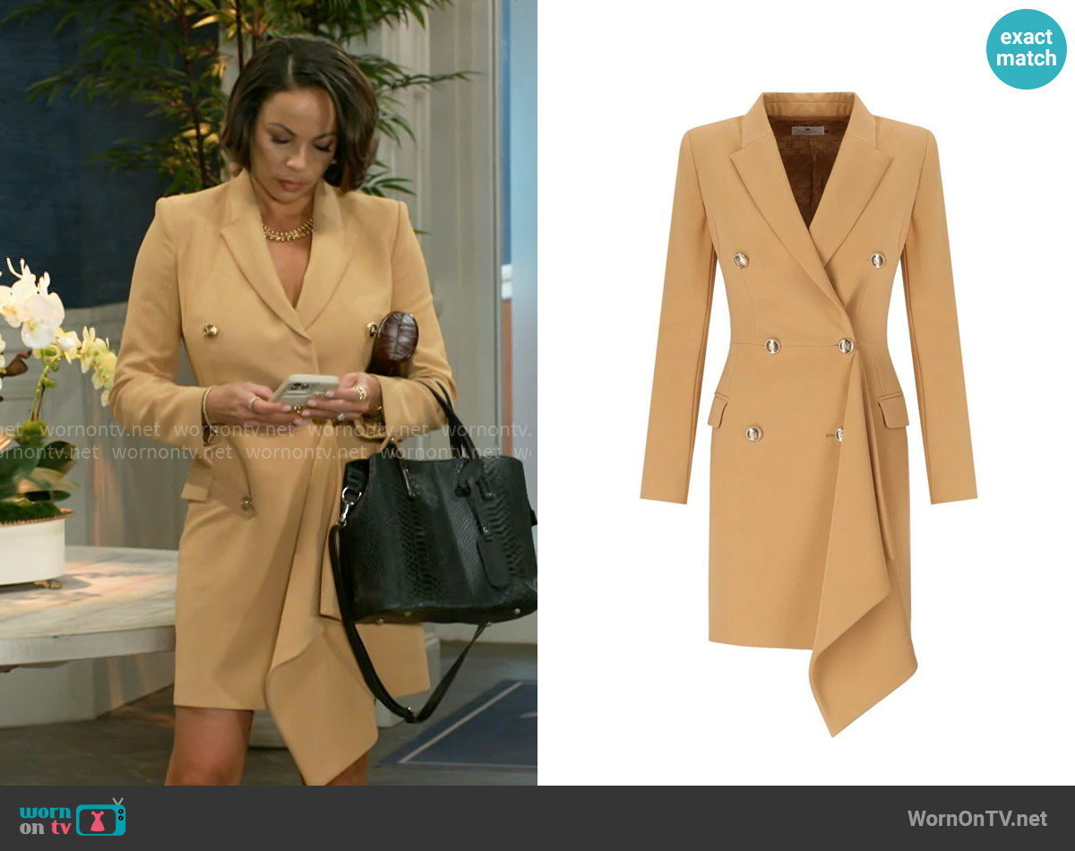 Elisabetta Franchi Bronze Double-Breasted Coat Dress With Ruffles worn by Nicole Dupree Richardson (Daphnee Duplaix) on Beyond the Gates