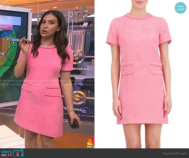 Eliza J Braid Detail Tweed Dress in Pink worn by Angie Lassman on NBC News Daily