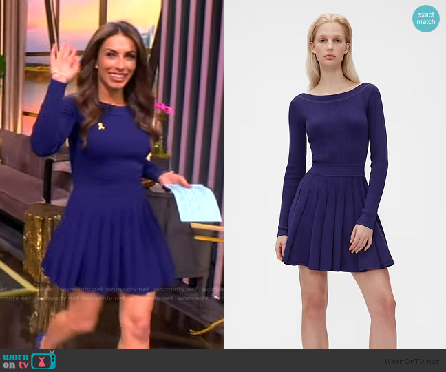 Gap Boatneck Pleated Mini Dress worn by Alyssa Farah Griffin on The View