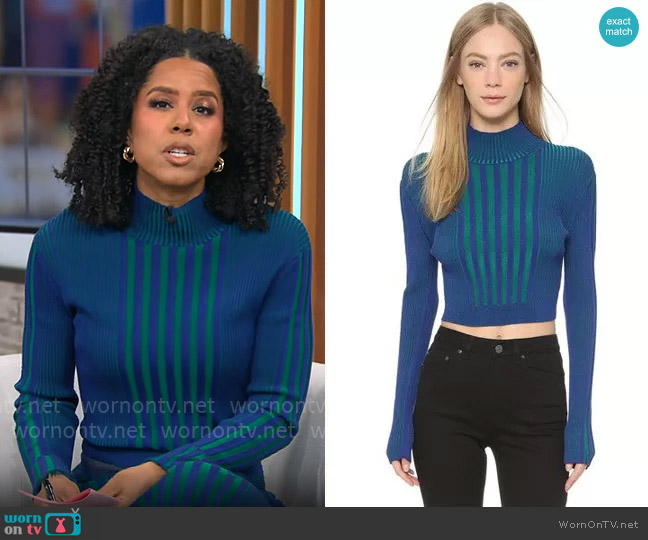 Ohne Titel Plaited Rib Sweater worn by Adriana Diaz on CBS Mornings