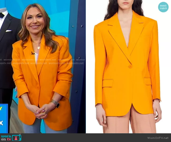 Sandro Harper One-Button Blazer worn by Lori Bergamotto on Good Morning America