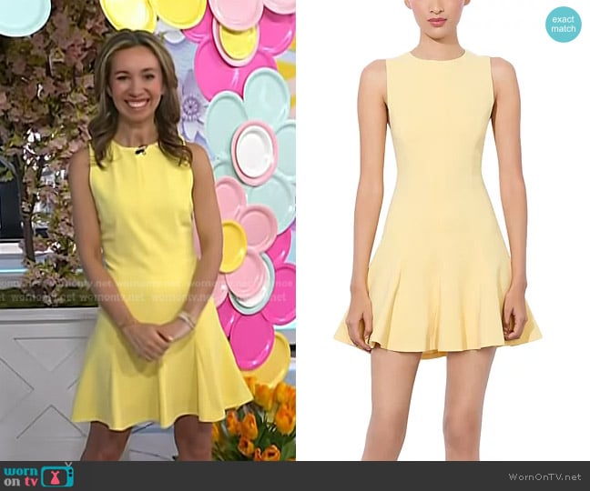 Alice + Olivia Isa Sleeveless Seamed Flare Mini Dress in Butter worn by Shannon Doherty on Today