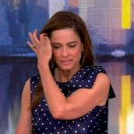 Amanda Pleet’s navy polka dot print dress on The View