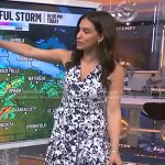 Angie Lassman’s white and navy print dress on NBC News Daily