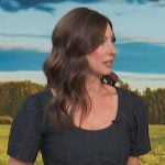 Ashley Frey’s denim dress on Access Hollywood