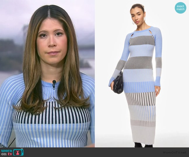 Boss Blue Striped Knit Maxi Dress worn by Deirdre Bosa on NBC News Daily