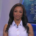 Brittany’s blue stripe belted dress on Good Morning America